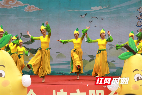 图片6.jpg 图片6.jpg