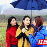 苏湘记者携手冒雨助农 江永“五香”好物云端热销