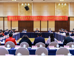 永州市代表团举行全体会议 朱洪武主持