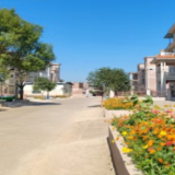 湖南新田:牵红线美家园 双轨服务赋能乡村振兴