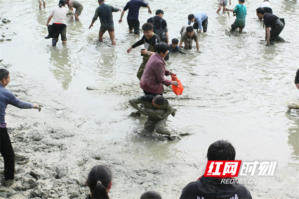 微信图片_20260228123943_10147_11.jpg 微信图片_20260228123943_10147_11.jpg