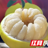 湘超流量变“留量”！江永香柚借势年货节“出圈”