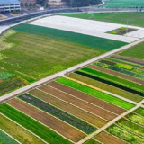 湖南新田：春回大地 田园如画（组图）