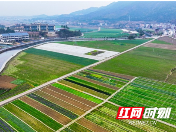 湖南新田：春回大地 田园如画（组图）