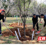 永州四中：履行植树义务 共建动人四中