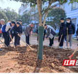 永州市京华中学开展2026年植树节活动