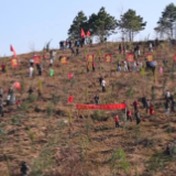 湖南江华：不负春光添新绿 干群同心绘新景