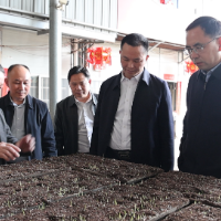 祁阳：向子顺调研督导春耕生产工作