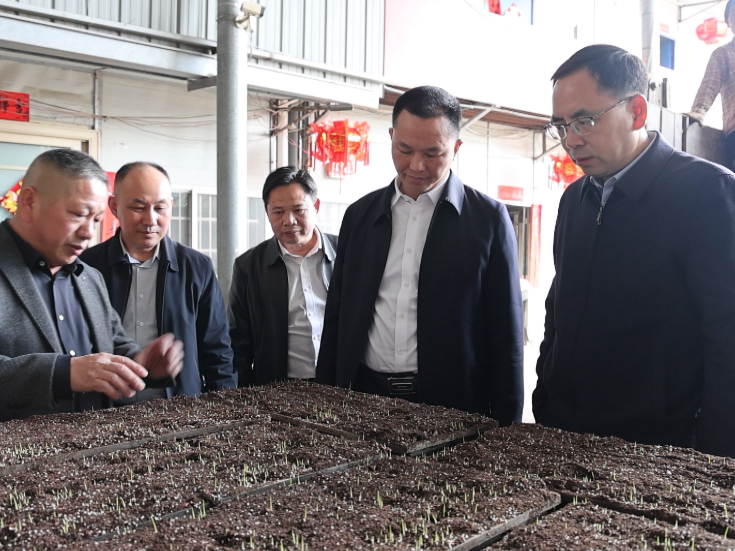 祁阳：向子顺调研督导春耕生产工作