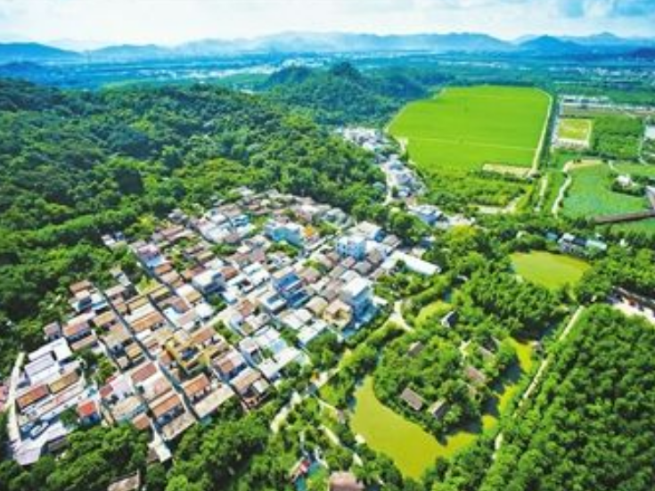 永州“生鲜集拼”：小切口撬动大开放