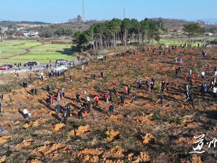 道县开展2026年义务植树活动 为生态文旅融合增绿添彩