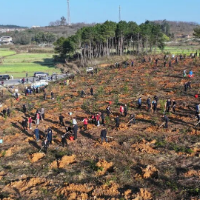 道县开展2026年义务植树活动 为生态文旅融合增绿添彩