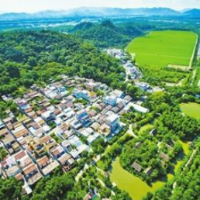 永州“生鲜集拼”：小切口撬动大开放