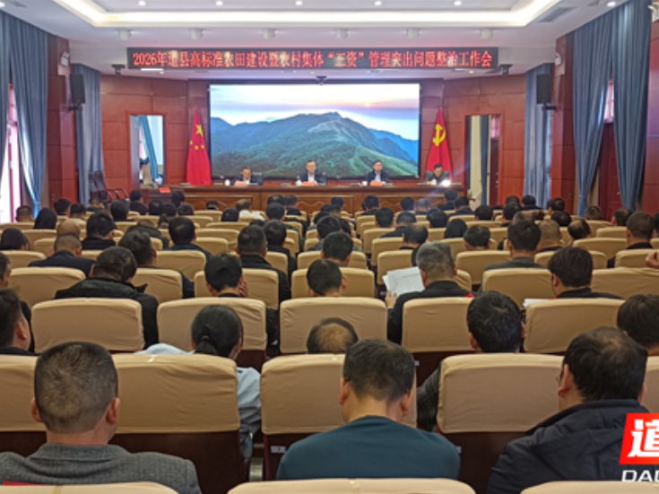 道县召开全县春耕生产暨一季度经济运行现场推进会和高标准农田建设暨农村集体“三资”管理突出问题整治工作会