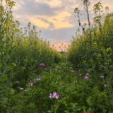 文化永州丨罗勇智：折痕