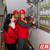 国网双牌县供电公司：“松风”红马甲点亮暖心路 电力情传承雷锋魂