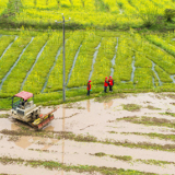 国网双牌县供电公司:春灌保电入“心田” 护航春耕丰产时