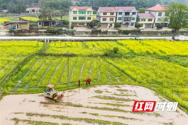 微信图片_20260320152517_11179_11.jpg 微信图片_20260320152517_11179_11.jpg