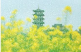 潘华摄影作品：润物无声处 永州入春来