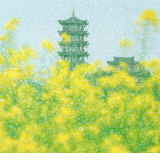 潘华摄影作品:润物无声处 永州入春来