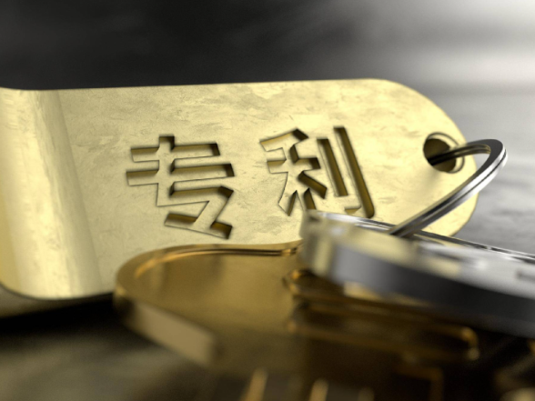 永州企业专利转化取得新成效：本土企业携手合作 专利技术赋能蛋鸡养殖