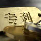 永州企业专利转化取得新成效：本土企业携手合作 专利技术赋能蛋鸡养殖