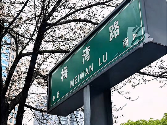 春有约，花不误！永州冷水滩梅湾路樱花限时登场