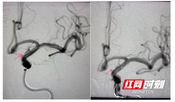 ScreenShot_2026-03-05_084831_066.jpg ScreenShot_2026-03-05_084831_066.jpg