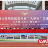 永州法院系统第六届“天平杯”足球比赛开幕