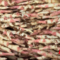 文化永州丨嶷山阿云：江永香姜