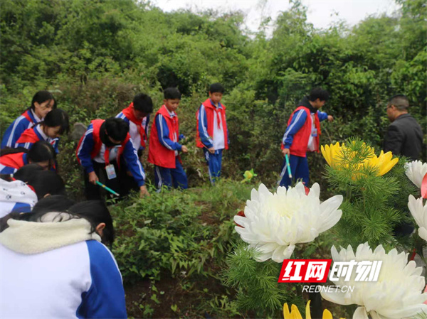 微信图片_20260402101528.jpg 微信图片_20260402101528.jpg