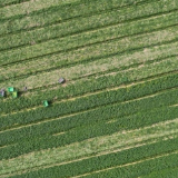 文化永州丨嶷山阿云：刘文与东升蔬菜