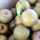 文化永州丨嶷山阿云:老李和他的蓝山黄花梨