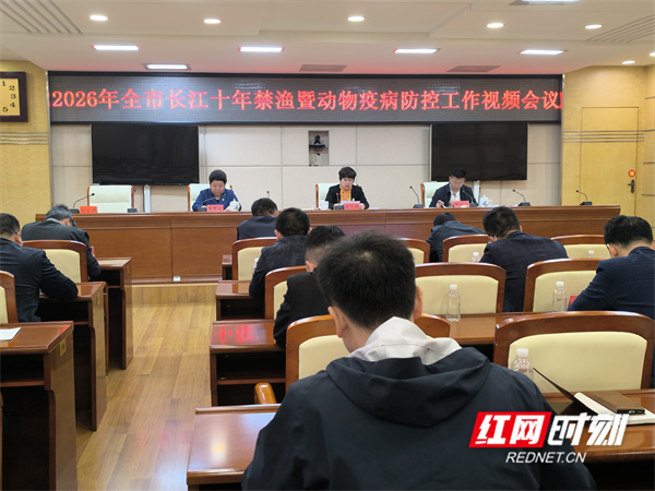 微信图片_20260408082612_11911_11.jpg 微信图片_20260408082612_11911_11.jpg