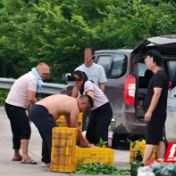 湖南高速集团永州分公司回龙圩收费站:劝阻违规售卖 筑牢安全防线