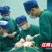 医疗服务提升年丨永州职院附属医院（永州市口腔医院）成功开展高难度下颌骨髁状突复杂高位骨折手术