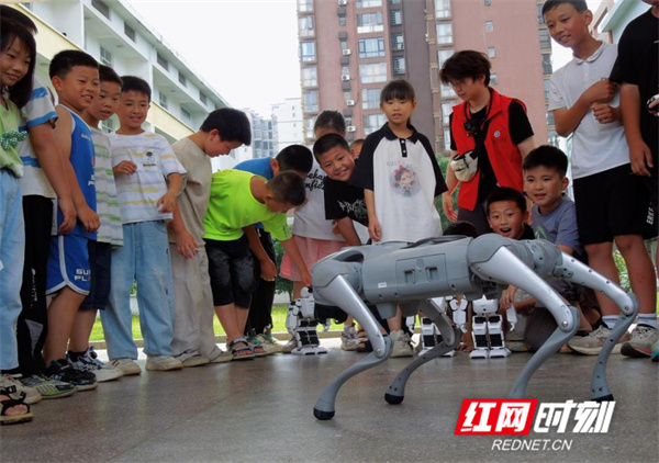 微信图片_20260529161116_773_425.jpg