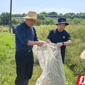 永州市农科所科研人员坚守一线护航农业生产