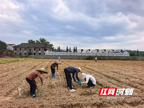 微信图片_20260506160504.jpg