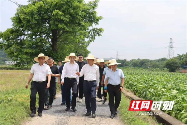 微信图片_20260601171313.jpg 微信图片_20260601171313.jpg