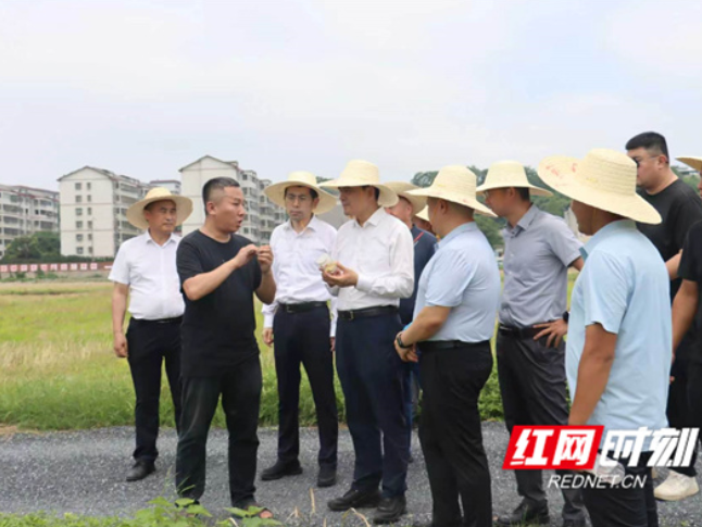 柏连阳院士到永州市农科所调研指导农业科创工作