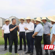 柏连阳院士到永州市农科所调研指导农业科创工作