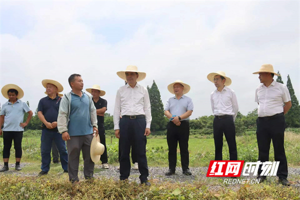 微信图片_20260601171309.jpg 微信图片_20260601171309.jpg