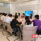聚焦托幼一体化 破解难点堵点 湖南省早教托育学会到永州开展专题调研