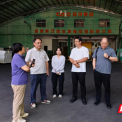 永州市农科所:专家入企问诊 赋能西瓜全链发展