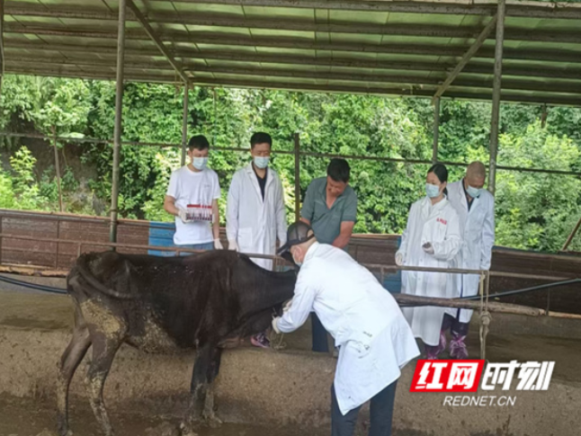 永州扎实开展动物疫病免疫效果评估与生物安全专项检查