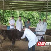 永州扎实开展动物疫病免疫效果评估与生物安全专项检查
