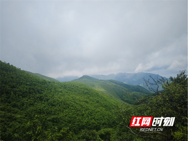 1189.jpg 1189.jpg