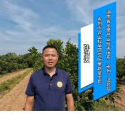 柑橘夏季如何防虫害？省水果产业技术体系干货请收好！