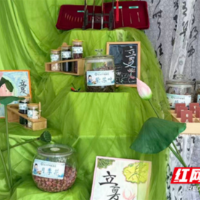 深耕医育融合 传承中医国粹 永州打造中医药特色托育服务新样板